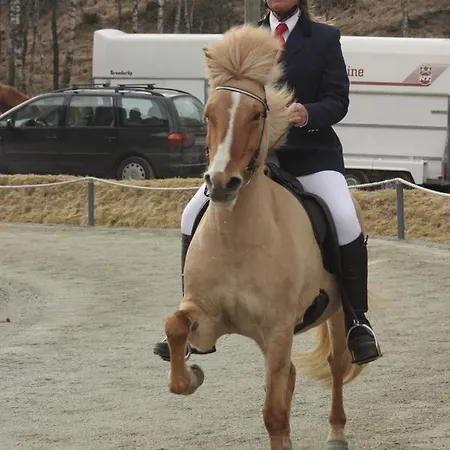 Fossanmoen *