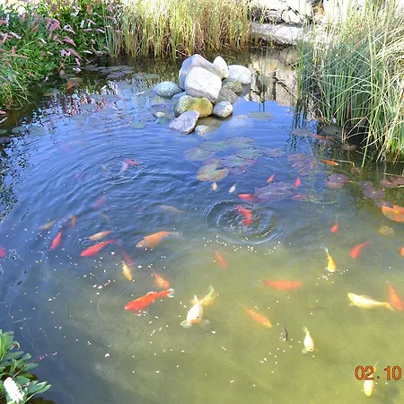 Fossanmoen בית חווה Forsand